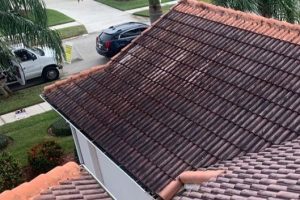 Roof Cleaning Anglevillas FL, Roof Cleaning Fellsmere FL, Roof Cleaning Florida Ridge FL, Roof Cleaning Fort Pierce FL, Roof Cleaning Fort Pierce South FL, Roof Cleaning Gifford FL, Roof Cleaning Hutchinson Island FL, Roof Cleaning Indian River Estates FL, Roof Cleaning Indian River Shores FL, Roof Cleaning Jensen Beach FL, Roof Cleaning Lakewood Park FL, Roof Cleaning North Beach FL, Roof Cleaning North River Shores FL, Roof Cleaning Ocean Breeze FL, Roof Cleaning Palm City FL, Roof Cleaning Port Saint Lucie FL, Roof Cleaning River Park FL, Roof Cleaning Roseland FL, Roof Cleaning Sebastian FL, Roof Cleaning South Beach FL