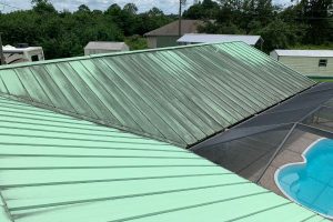 roof cleaning services