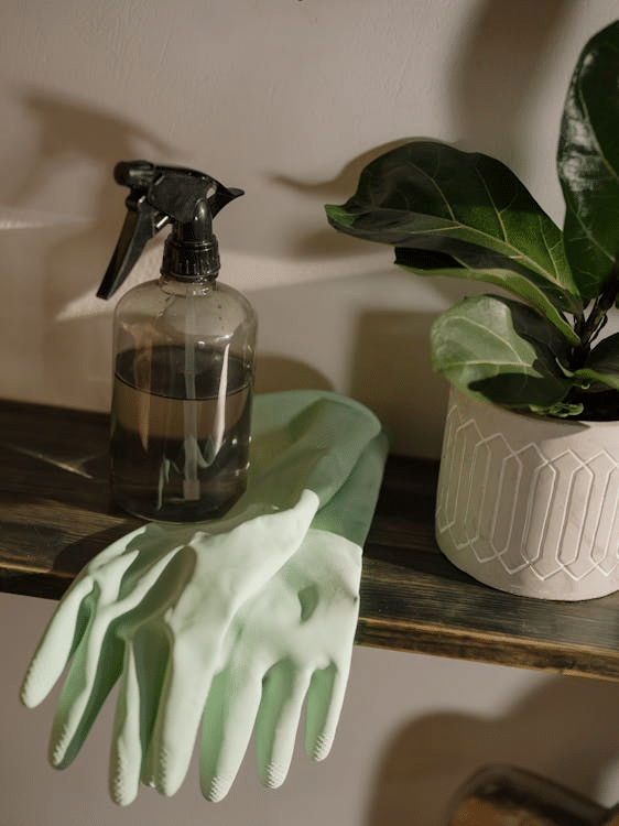 A pair of green rubber cleaning gloves, a spray bottle, and a potted plant arranged on a wooden shelf in soft indoor lighting.