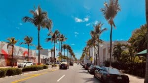 Palm-lined street in a coastal Florida city on a sunny day, illustrating the environment where homeowners often ask, "what is salt air" and how it affects properties.